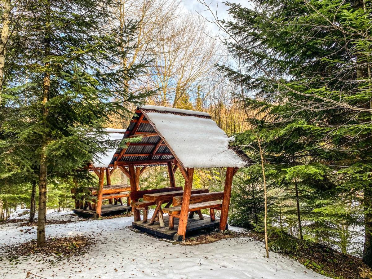 Pensiunea Ionela Zemes Exterior foto