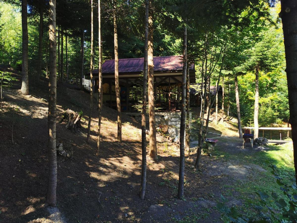 Pensiunea Ionela Zemes Exterior foto