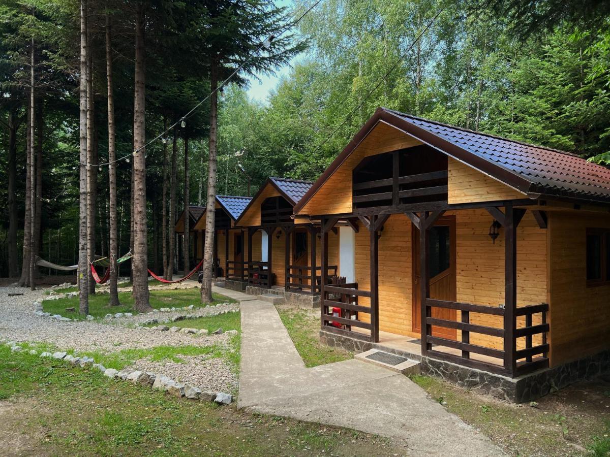 Pensiunea Ionela Zemes Exterior foto