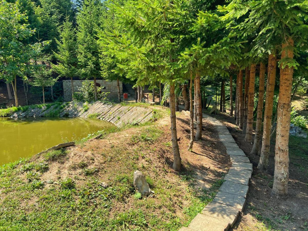 Pensiunea Ionela Zemes Exterior foto